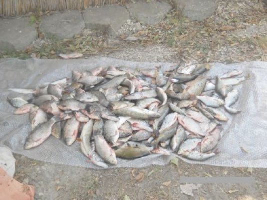 Braconieri prinşi de poliţiştii Gărzii de Coastă